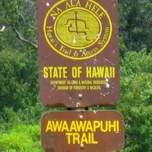 Meet your Posher, Jovina